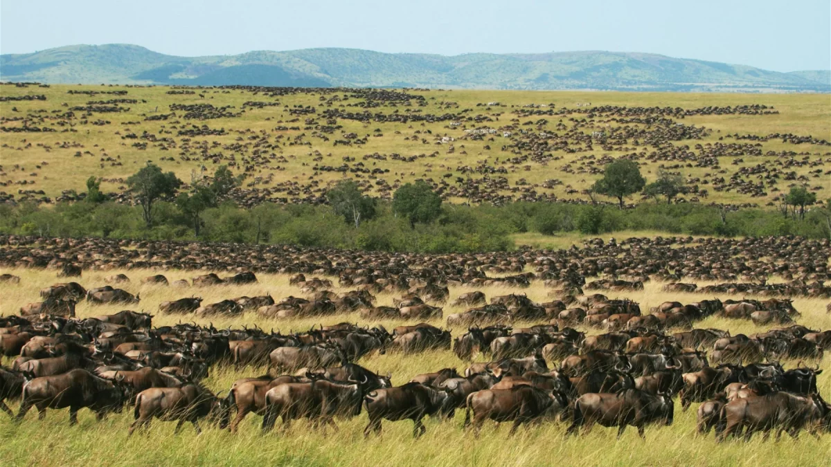 Kidepo National Park